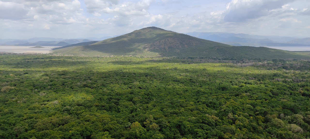 Arba Minch, Lake Chamo and Nechisar Wildlife Program