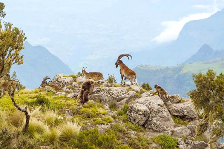 Simien Mountains travel route